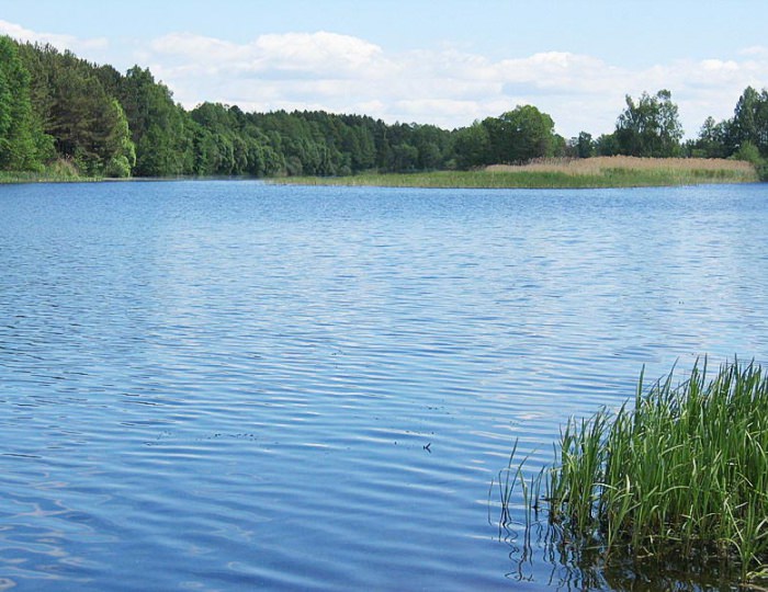 Климатолечение - Санаторий «Буг» Беларусь