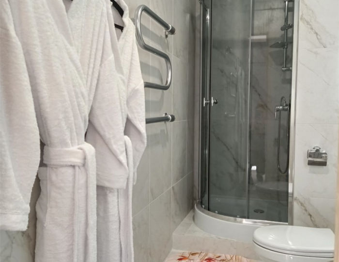 Люкс 2-местный 2-комнатный корпус 2 - Санаторий «Буг» Беларусь