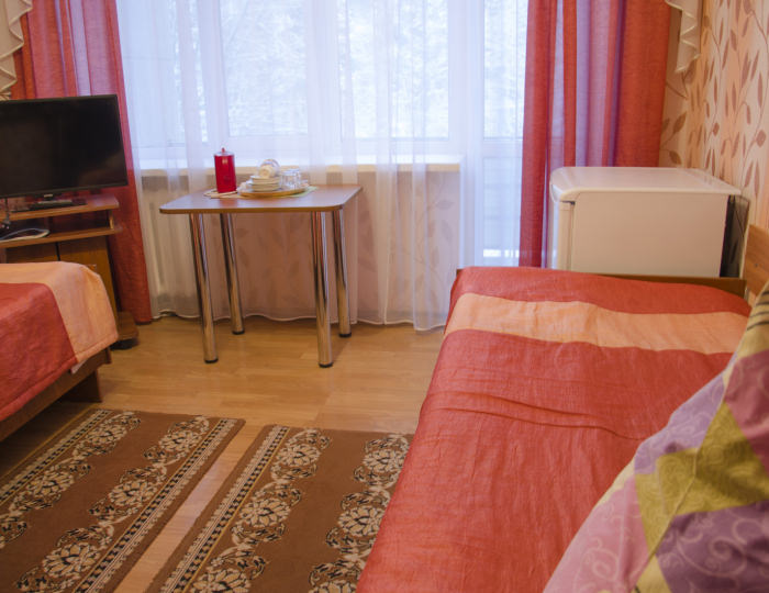 Стандартный 2-местный Твин с ТВ и Х корпус 3,4 - Санаторий «Буг» Беларусь